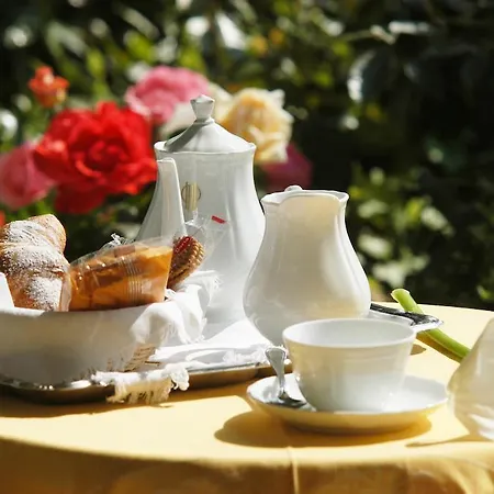 President - Vintage In Centro 4* Риччоне