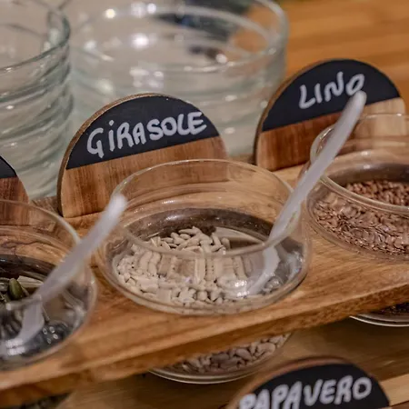 President - Vintage In Centro 酒店