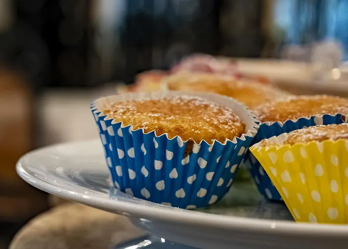 President - Vintage In Centro Hotel